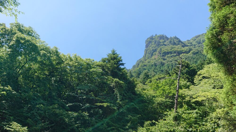 初夏の山歩き